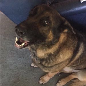 Meet your Posher, Dalton